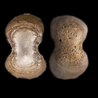  明素面高翅五两型银锭 方乾评级 MS62+ 