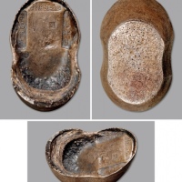  清江西九江新关永昌银号五十两 中乾 XF 45