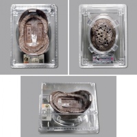  清上海“华俄道胜银行”五十两银锭一枚，重：1829.2g，由华俄道胜银行在上海租界委铸，字戳清晰完整，醇厚均匀淡巧克力色包浆，银色纯正，品相上佳， 中乾AU58