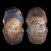  明鬆潘衛匠钟六啟银锭 方乾评级 AU58 