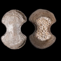  明沅州税课拾两银锭 方乾评级 MS62+ 