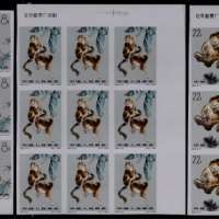  1963年特60金丝猴无齿新票全套九方连