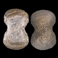  明修河艮四两正银锭 方乾评级 MS60 