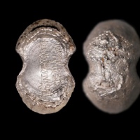  明“辰溪知县曹行健银拾两”银锭 方乾评级 MS62+ 