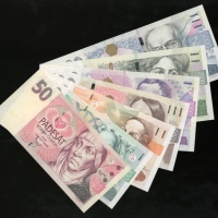  1993-2009年捷克纸币一组七枚，由伍拾至伍仟克朗，编号A06423232、F71309111、E76943511、E47234303、H89586494、D84058752及C14494444，