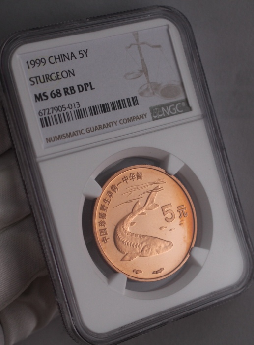  1999年中国珍稀野生动物纪念5元中华鲟精制 NGC MS 68