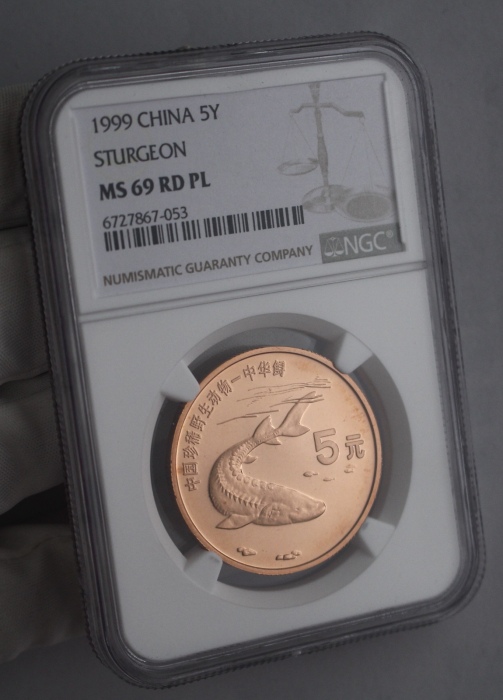  1999年中国珍稀野生动物纪念5元中华鲟精制 NGC MS 69