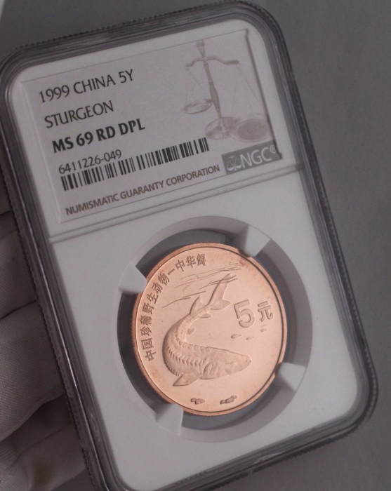  1999年中国珍稀野生动物纪念5元中华鲟精制 NGC MS 69