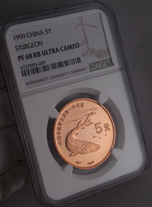  1999年中国珍稀野生动物纪念5元中华鲟精制 NGC PF 68