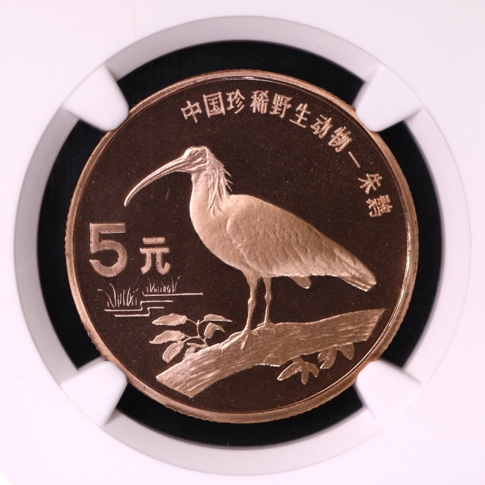  1997年中国珍稀野生动物5元朱鹮精制 NGC PF 69