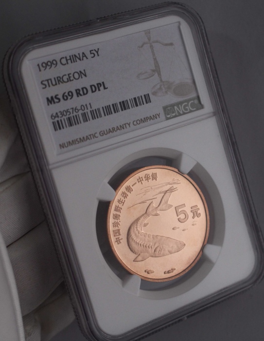  1999年中国珍稀野生动物纪念5元中华鲟精制 NGC MS 69