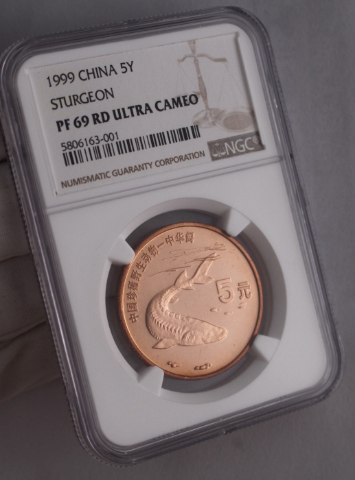  1999年中国珍稀野生动物纪念5元中华鲟精制 NGC PF 69