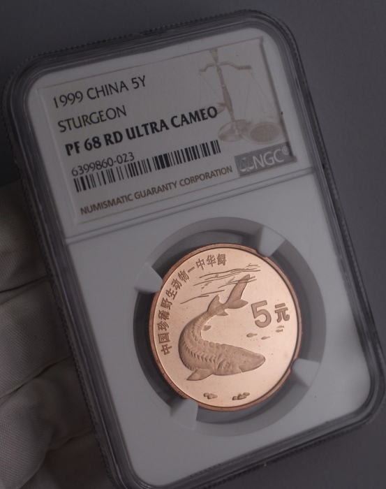  1999年中国珍稀野生动物纪念5元中华鲟精制 NGC PF 68